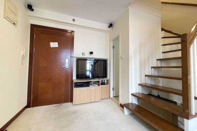 Pudong area/charming 1br 1lr/Good view/nice location,Century Avenue@L2/4/6/9