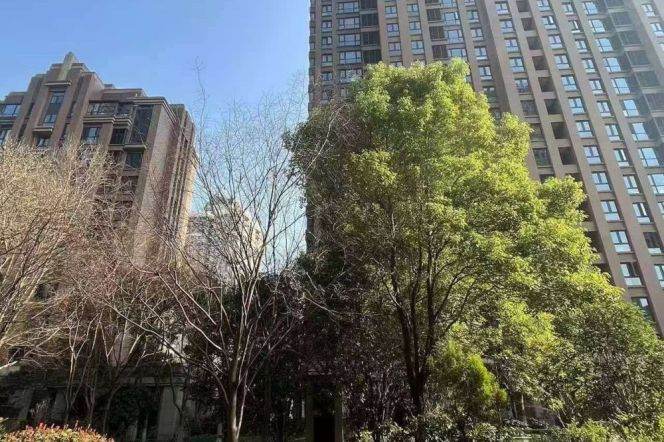 modern big 3brs floor heating modern furniture in Xintiandi 31K