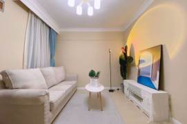 Elevator Apt 2br/1bt close to Plaza 66