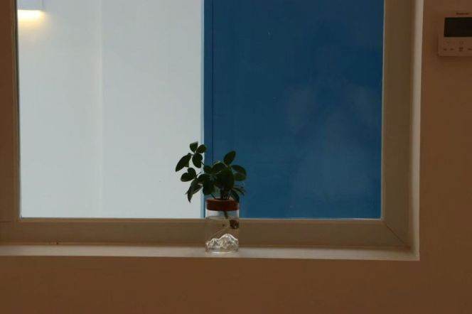 loft style 1br old apt with Yard in Xuhui L1/9/10/11 