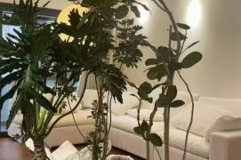 Spacious 2Brs/2Lrs/1Bt apt nr Jingan temple,M2/7/14