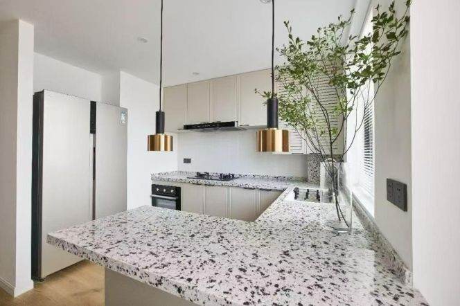 Wutong District, Dapingqiao Metro Station, Line 9, elevator apartment, north-south ventilation