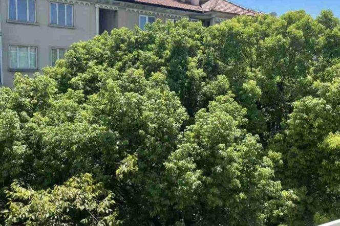 First landlord one bedroom apt near Line3/4West Yan'an Rd