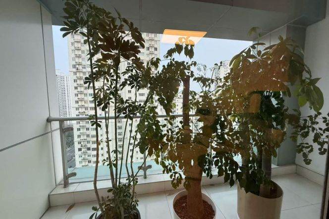 Jiashan rd/Spacious 1br 2lr+Outdoor balcony/high floor/90 sqm,@L9/12