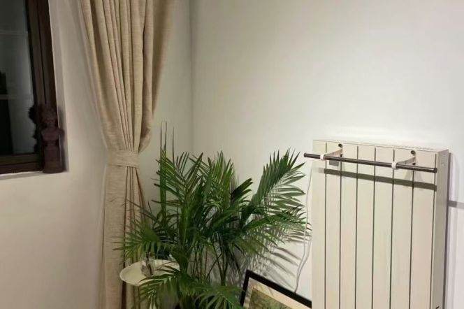 Jiangning rd 1BR apartment