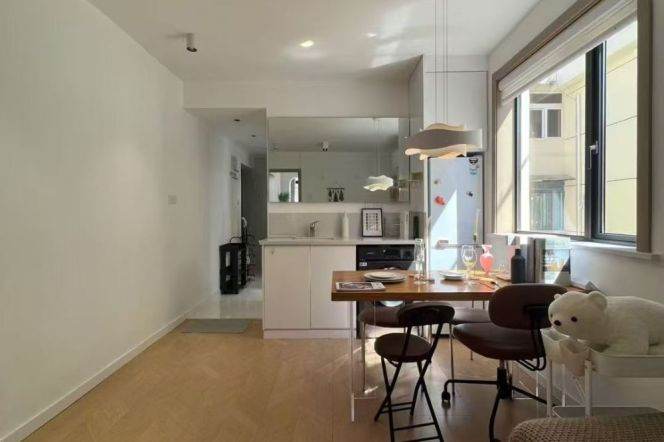 Zhongshan park 1BR apartment