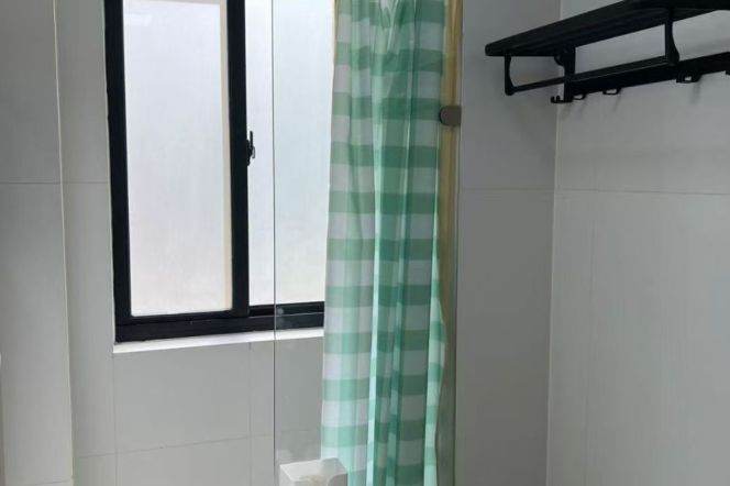 Zhongshan park 1BR apartment