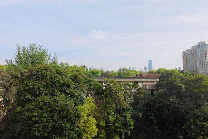 Tree view, 3Br 2Ba 175Sqm 1Balcony, Jiangsu rd., L2/11