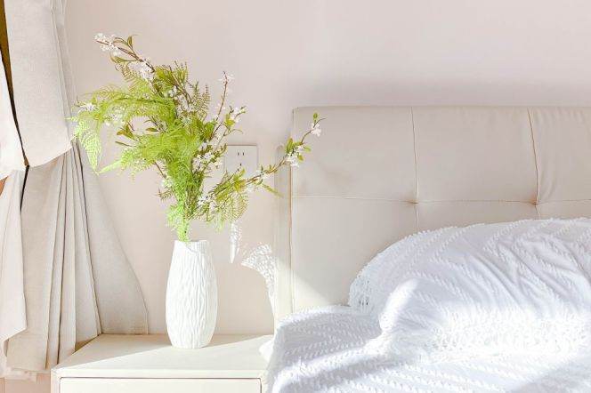 jiangsu rd Brand new 2BR/big living room@L2/11