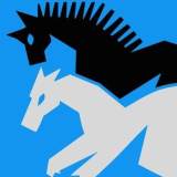 Silhouette, Radiation Fog, Koe