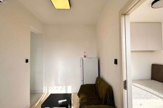 Modern 1Br/1Lr/1Bt apt nr Zhongshan park,M2/3/4/11