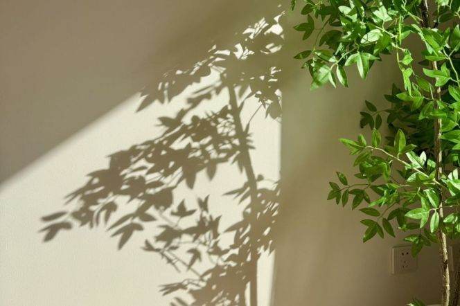 Premium international residential compound nr Golden street  