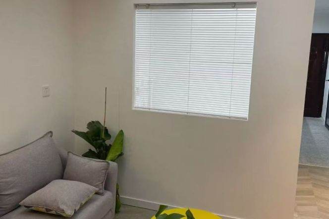 Brand-new 1br/1lr/yard@jinshajiang rd sta 4.9k