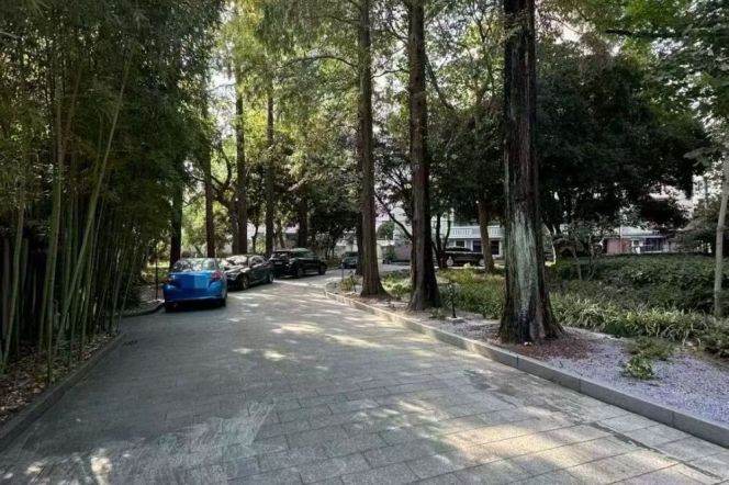 Wutong District, old apartment building, with outdoor area, windows offering views of greenery