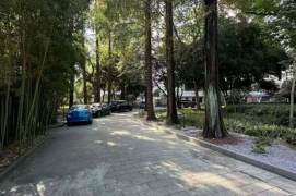 Wutong District, old apartment building, with outdoor area, windows offering views of greenery