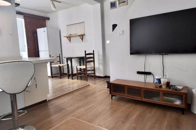South Shanxi rd Jiashan Dapuqiao 1BR apartment