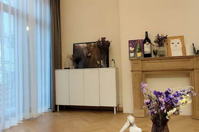 Well decorated 1br apt with balcony / West Nanjing rd