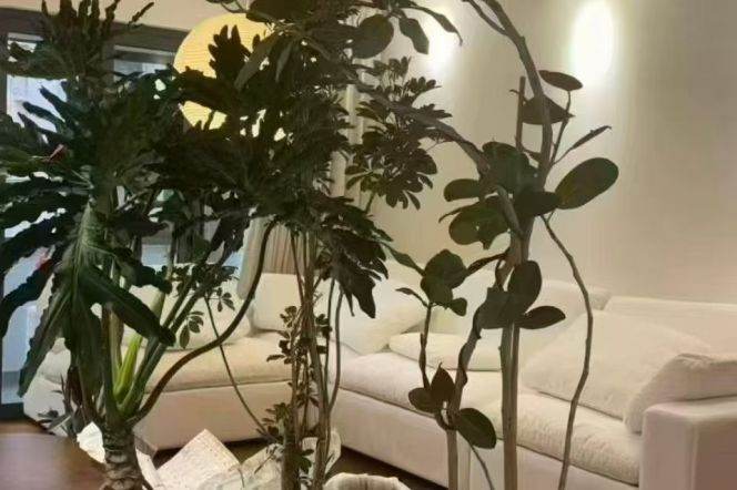 Bright elevator 2br Apt in Yanping Road