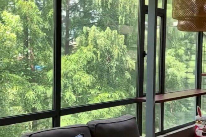 Beautiful green view 2+1brs&3baths with terrace near Changshu Road