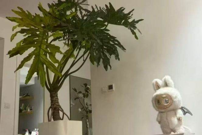 Bright elevator 2br Apt in Yanping Road