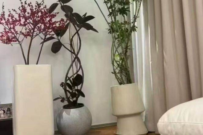 Bright elevator 2br Apt in Yanping Road