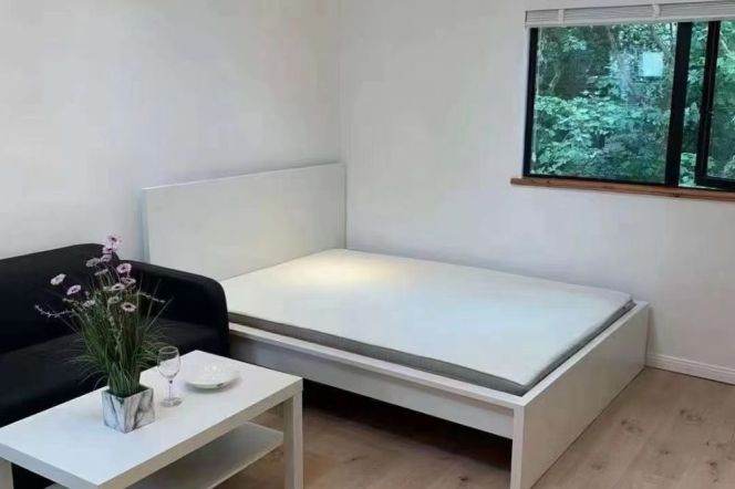 Lovely and cozy one bedroom near Dapuqiao station