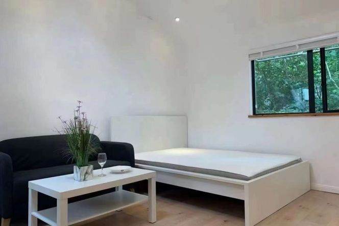 Lovely and cozy one bedroom near Dapuqiao station