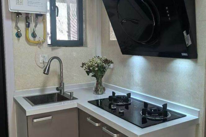 Brand-new 1br @damuqiao  rd sta 5.5k