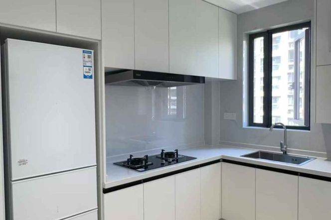 Renovated 2br apt in Xuhui Line 3&12