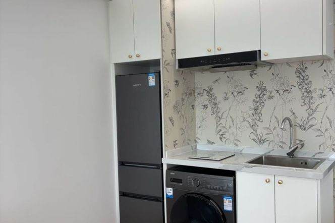ECNU,brand new 1br 1 separate lr@L3/4/13 Jinshajiang Road,elevator,high floor