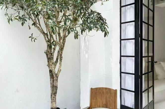 Lane houe with garden/terrace