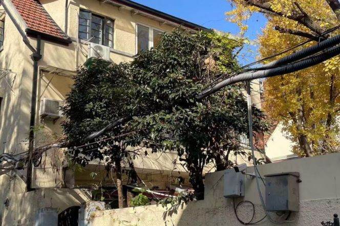 Classic Garden Lanehouse on Yuqing Rd | 2BR 2BA w/Balcony