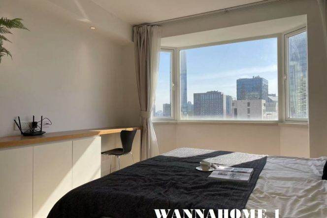 Modern&Spacious&Good Quality 1Bdr 1Bath Apt+Jing'an Temple+Enough Storage+Awesome View