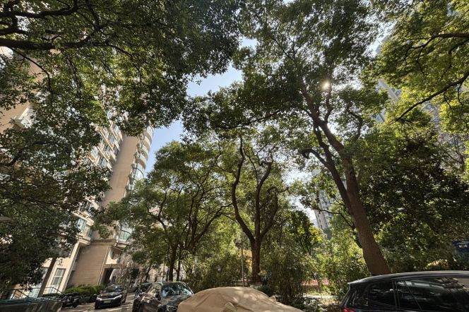 Sunny 1 bedroom apt in Jing'An by line 14