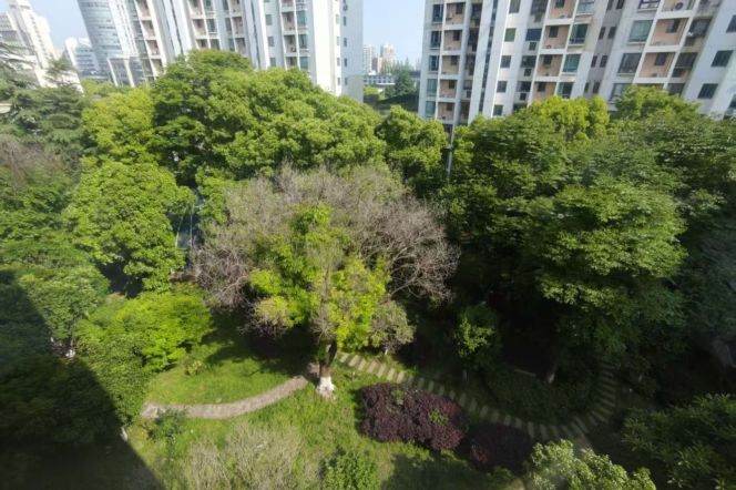 Charming spacious 3brs Balcony with elevator Nr L15 wuzhong rd sta 