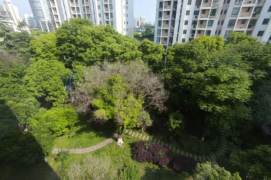 Charming spacious 3brs Balcony with elevator Nr L15 wuzhong rd sta 