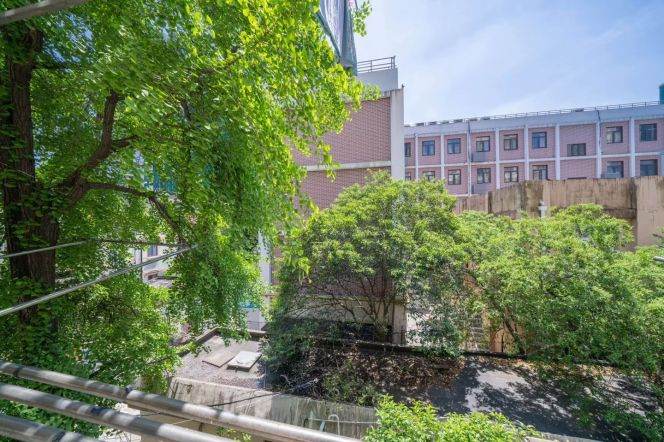 Cozy bright 1br 1lr Nr L2/12/13 W Nanjing rd