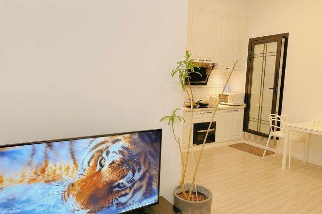 Lovely comfortable 1BR  lane-house @West Nanjing rd 