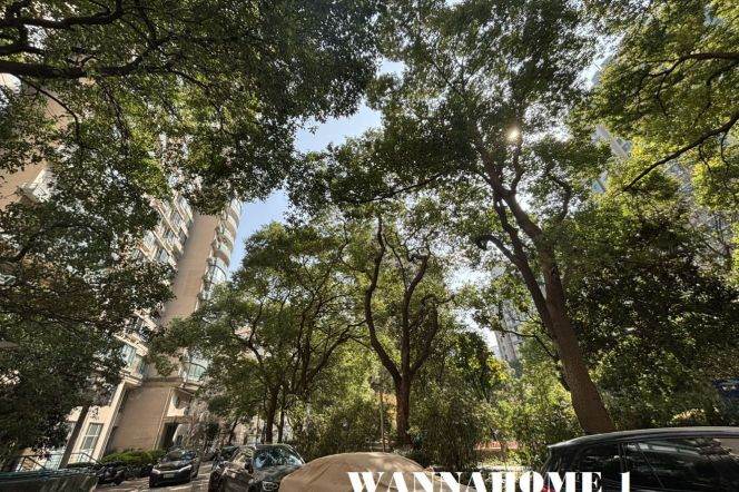 Spacious&Bright 1Bdr 1Bath Apt+L13 Wu Ning Rd+Great Compound+Large Covered Balcony