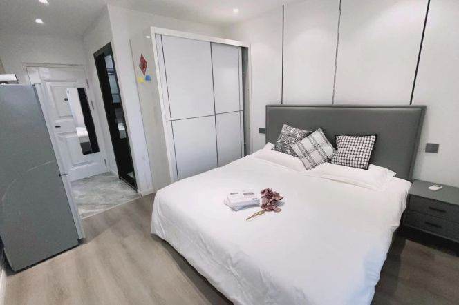  Spacious-Fashion-lift-1Br-Nr Spring mall-Shanxi North rd/Putuo area/L7/13
