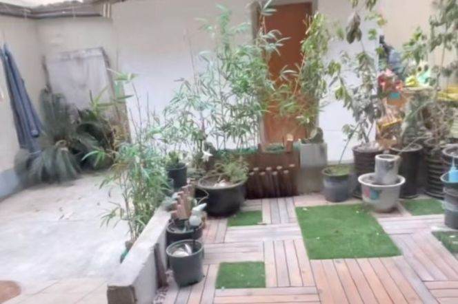 Lovely high ceiling 1 br 1 lr with outdoor yard near line 9/12