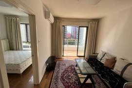 Xujiahui Elevator 1br with open balcony   /  Spacious / Bright 