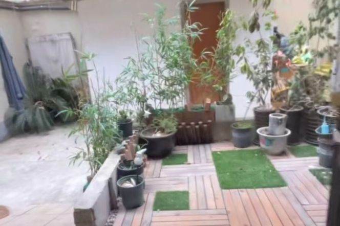 Lovely high ceiling 1 br 1 lr with outdoor yard near line 9/12