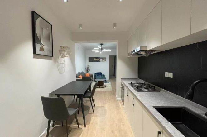Elevator 1Br/1Lr/1Bt apt nr Xujiahui,M1/4/9/11