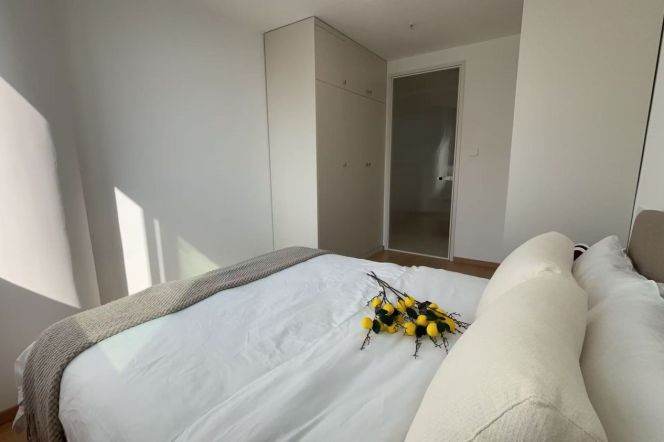   Spacious-Fashion-lift-1Br-Nr Huadong Jiaotong uni-Caoyang rd/Putuo area/L3/4/11/13/14