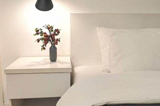 2brs near L7 changping rd station+elevator