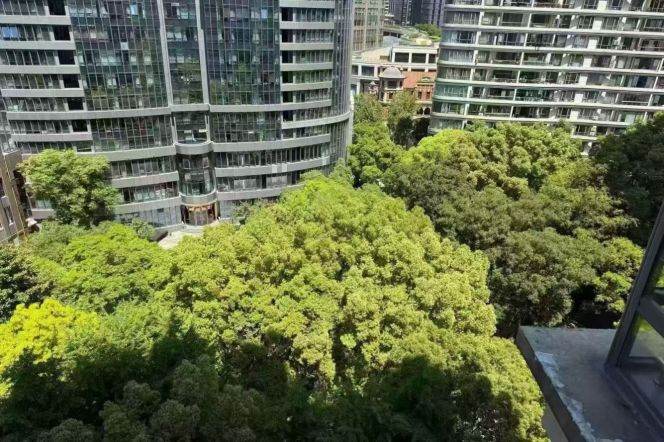 Close to Nanjing West Railway Station. 3-bedroom apartment. Excellent value for money