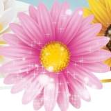Happy Mother's Day - Live Music by Daniel Bowley