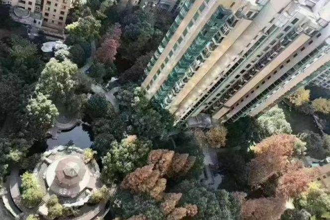 modern 3brs open balcony park view in best compound Jing an near su zhou river line 2,12,13