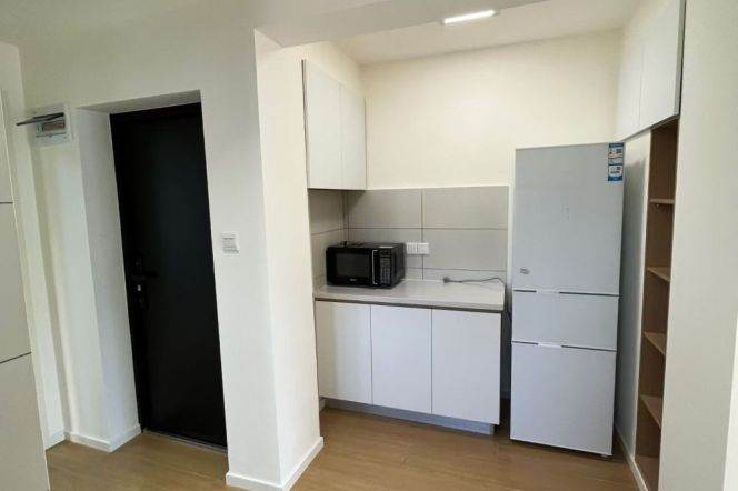 Fresh bright 2brs Nr jingan temple M2/7